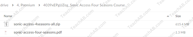Sonic Access Four Seasons Course By Paul Scheele Free Download