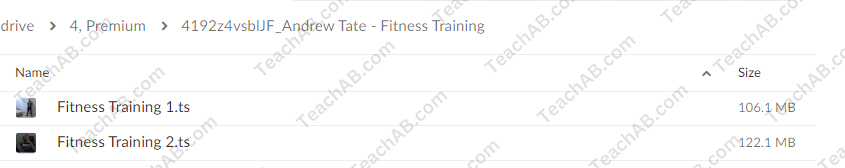 Fitness Training By Andrew Tate Free Download