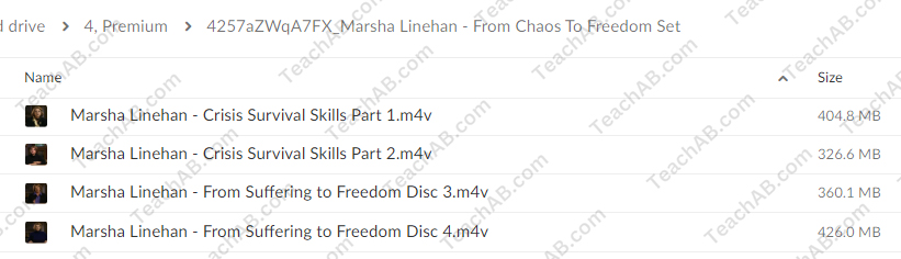 From Chaos To Freedom Set By Marsha Linehan Free Download