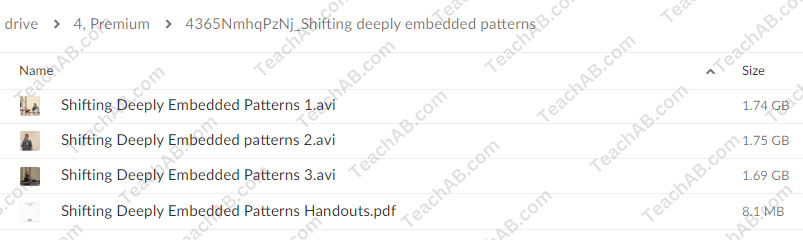 Shifting Deeply Embedded Patents By Donna Eden Free Download