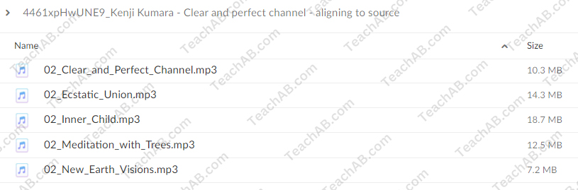 Clear And Perfect Channel - Aligning To Source By Kenji Kumara Free Download