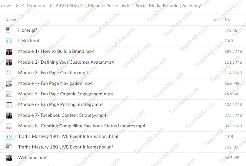 Social Media Branding Academy By Michelle Pescosolido Free Download