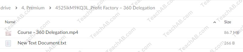 360 Delegation By Profit Factory Free Download