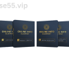 Online-Info-Blueprint-by-Bedros-Keuilian-free-download
