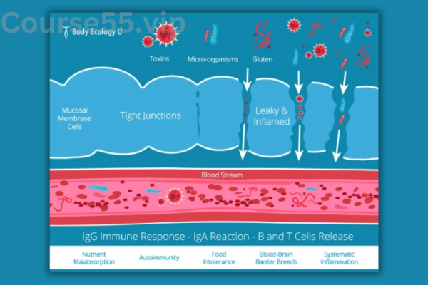Body-Ecology-Detoxification-Training-Course-free-download