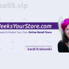 12-Weeks-Your-Store-Video-Class-By-Sandi-Krakowski-free-download
