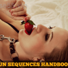 Shogun-Sequences-Handbook-Volume-2-By-Derek-Rake-free-download