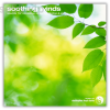 Soothing-Winds-Theta-by-Enlightened-Audio-free-download