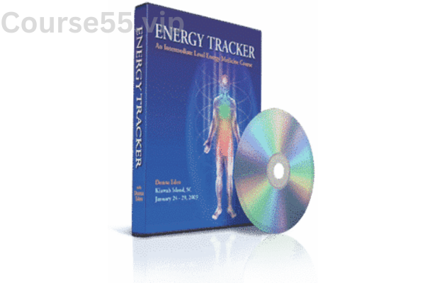 Energy-Tracker-Figuring-Out-What’s-Wrong-and-How-to-Fix-It-By-Donna-Eden-free-download