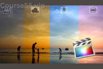Balance-Dynamics-Video-Course-By-Michael-Parsons-free-download