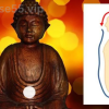 Microcosmic-Orbit-Meditation-For-Healing-By-Sandeep-Nath-free-download