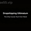 Dropshipping-Ultimatum-By-Alex-Singer-free-download