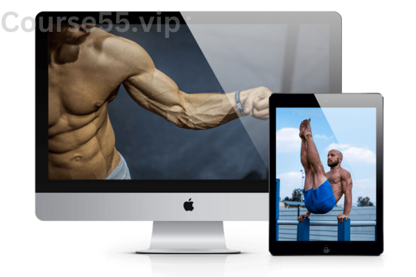 Cali-Move-Calisthenics-Basic-Bundle-Level-1-5-free-download