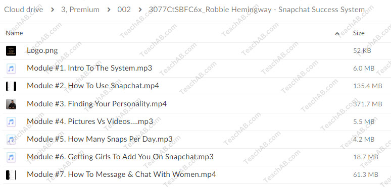 Snapchat Success System By Robbie Hemingway Free Download